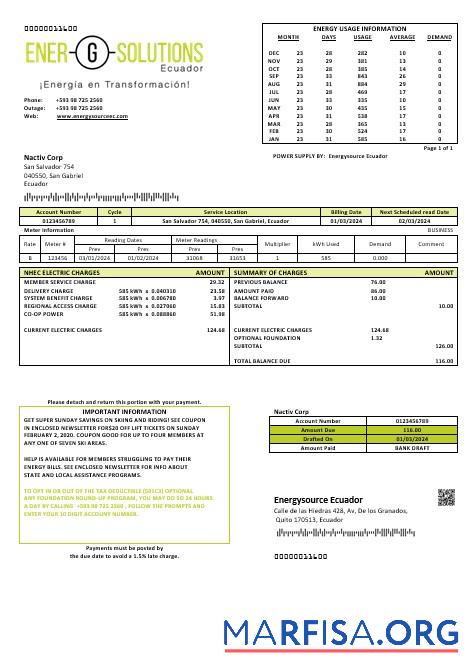 Printable Ecuador Energysource Ecuador energy business utility bill template (2)